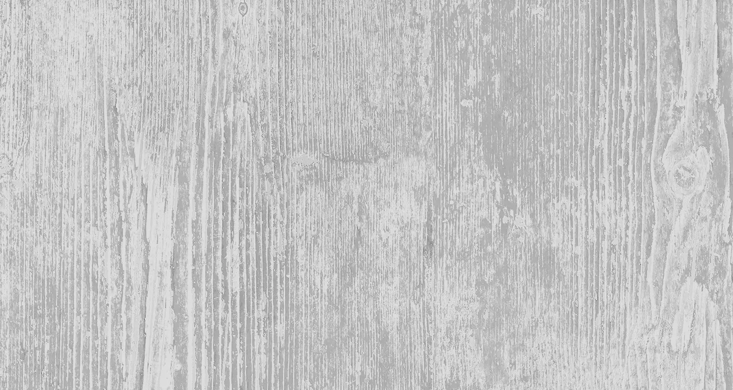 płytka drewnopodobna jasnoszara 1442