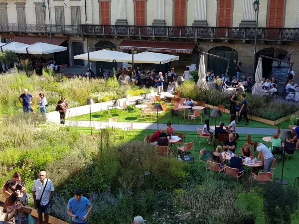 Taras wentylowany z roślinami