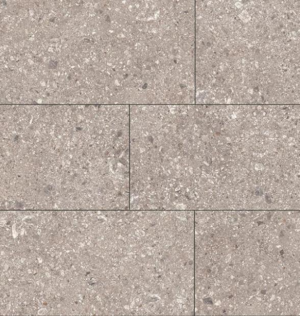 FORTEZZA_ceppo_60x120